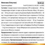 Феми макс - за хормонален баланс, в подкрепа на женското здраве, 30 капсули - Image 2