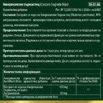 Американски зърнастец (Cascara Sagrada) - за нормален чревен транзит и редовен стомах, 30 капсули - Image 2